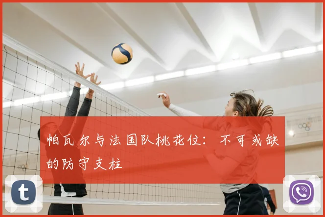 帕瓦尔与法国队桃花位:不可或缺的防守支柱