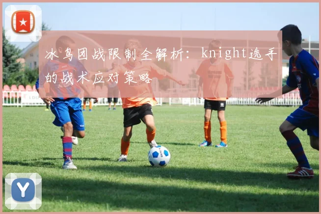 冰鸟团战限制全解析：knight选手的战术应对策略