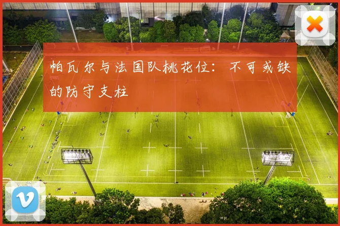 帕瓦尔与法国队桃花位:不可或缺的防守支柱